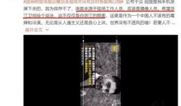 小星爆料现场视频在线观看,一窥幕后精彩瞬间